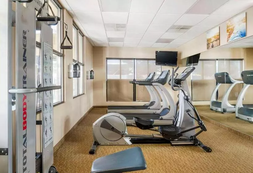 ホテル Comfort Inn & Suites