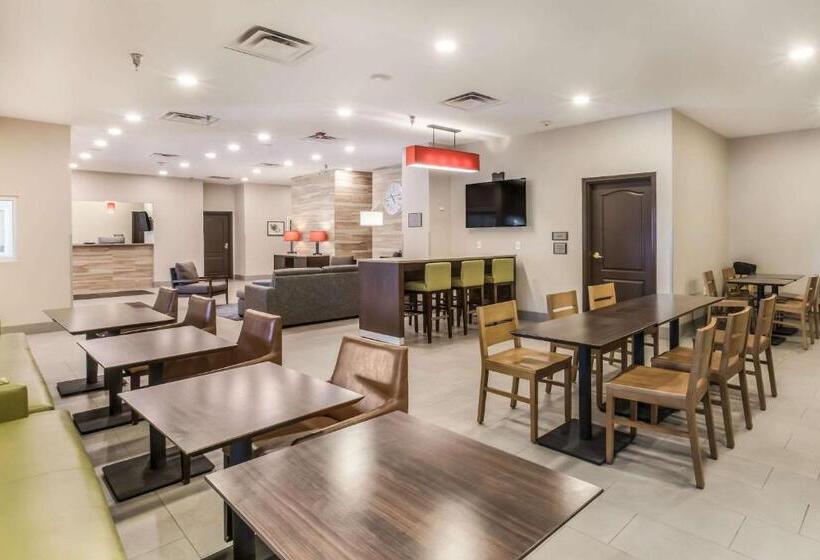 ホテル Comfort Inn & Suites