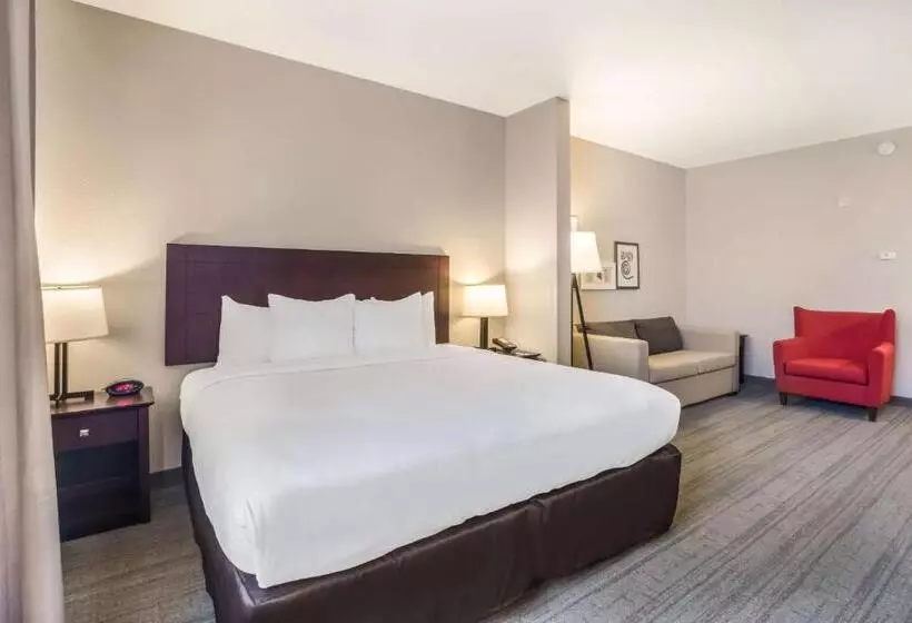 호텔 Comfort Inn & Suites