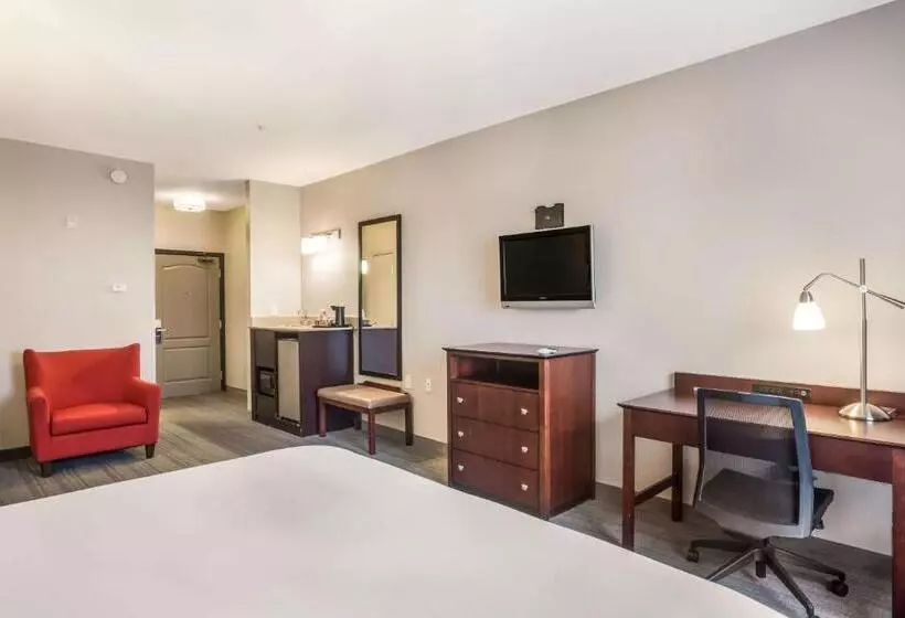 Отель Comfort Inn & Suites