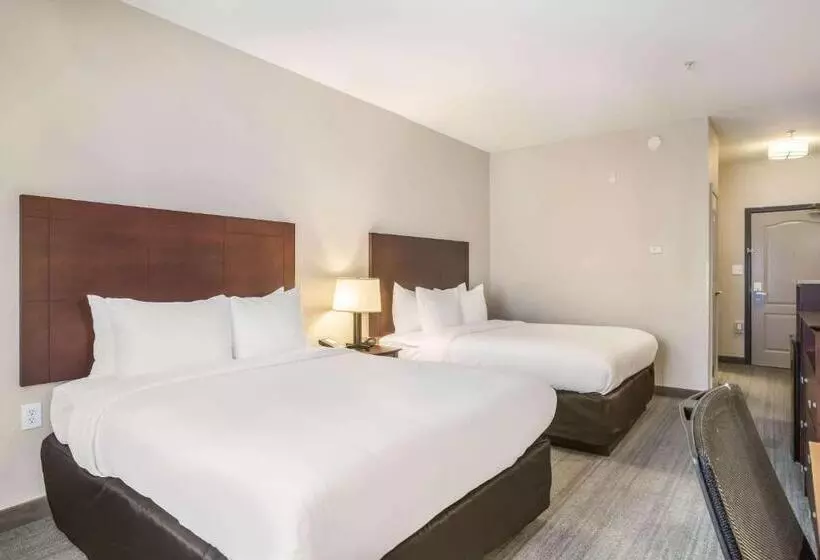 호텔 Comfort Inn & Suites