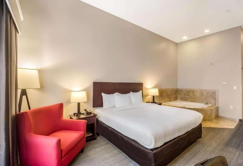 ホテル Comfort Inn & Suites