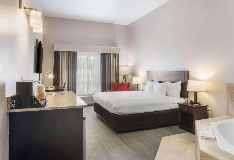 ホテル Comfort Inn & Suites