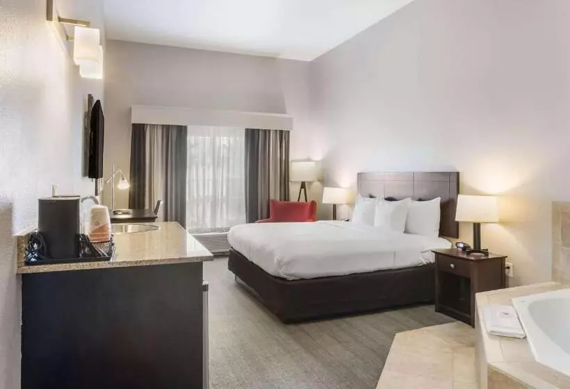 Отель Comfort Inn & Suites