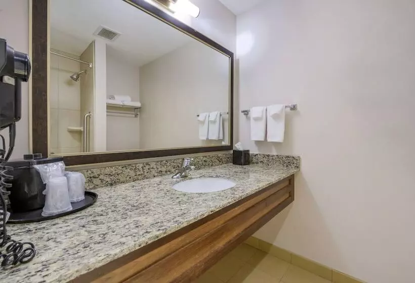 酒店 Fairfield Inn & Suites By Marriott Slippery Rock