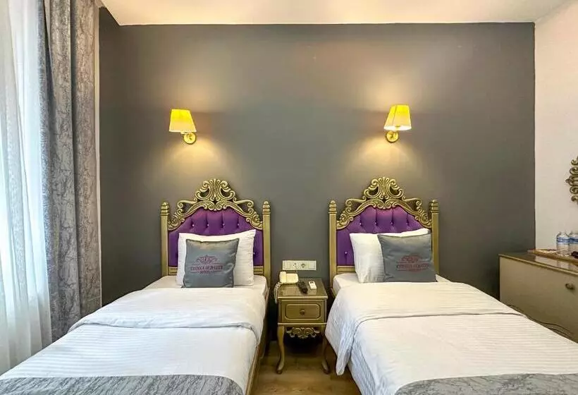 Ethnica Hotel Old City