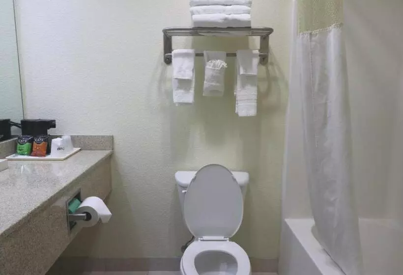 ホテル Jefferson Inn Dandridge