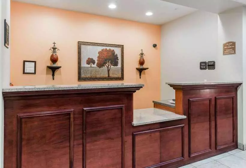 汽车旅馆  Super 8 By Wyndham Rolla