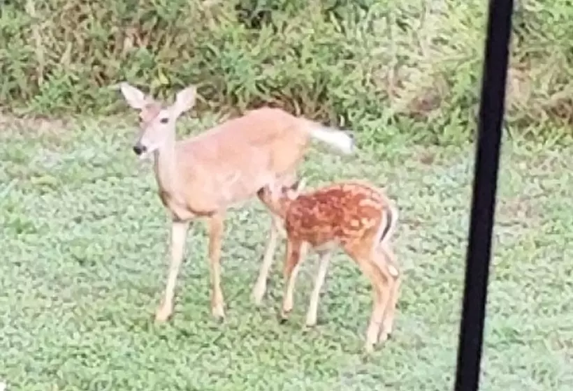 Pointe West Resort Motel