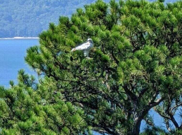 Pointe West Resort Motel