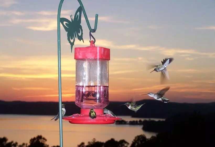 Pointe West Resort Motel