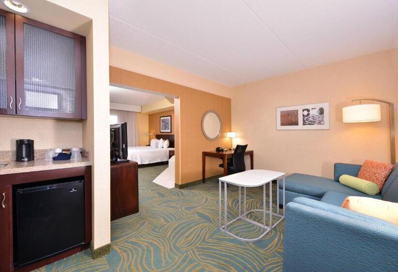 Springhill Suites Arundel Mills Bwi Airport