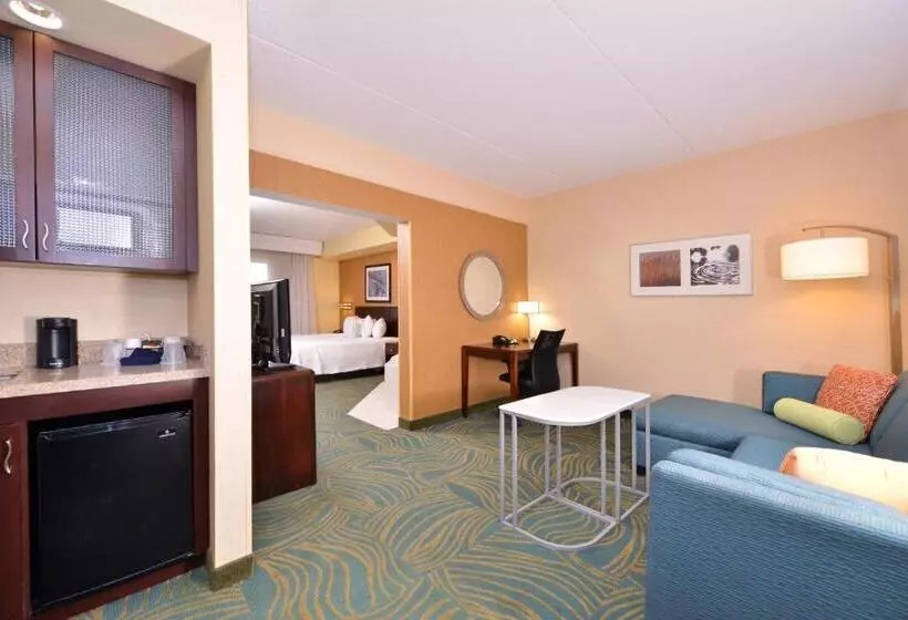 Springhill Suites Arundel Mills Bwi Airport