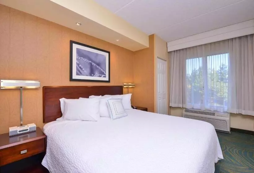 Springhill Suites Arundel Mills Bwi Airport