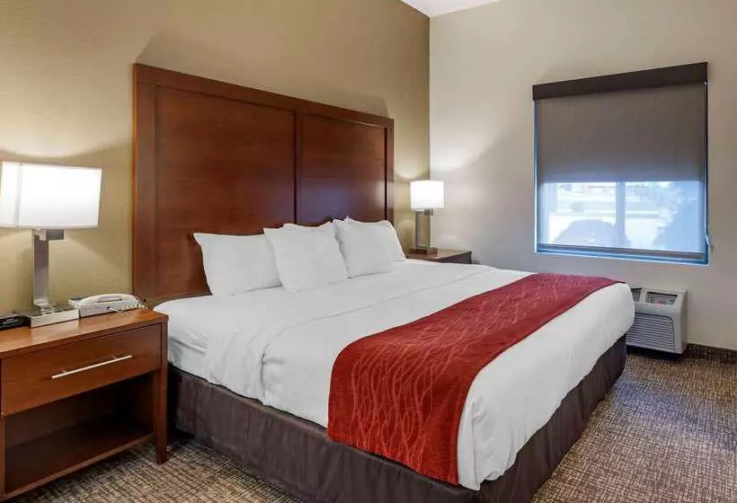 Отель Comfort Inn & Suites Greenville I 70