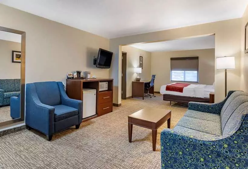 Отель Comfort Inn & Suites Greenville I 70