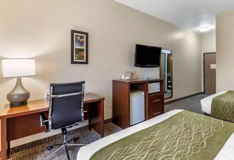 Отель Comfort Inn & Suites Greenville I 70