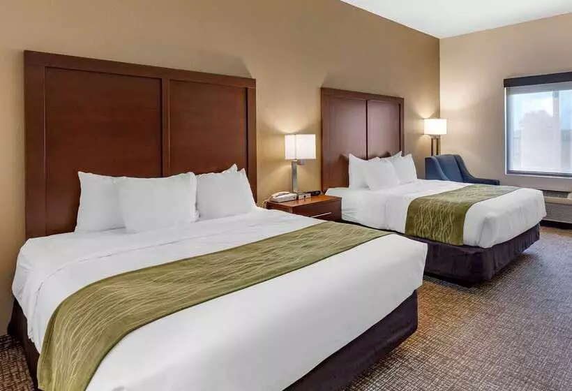 Отель Comfort Inn & Suites Greenville I 70