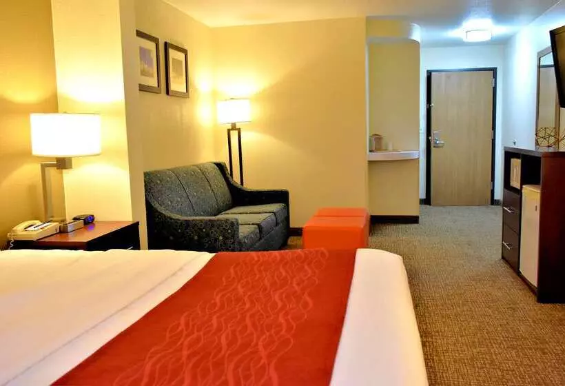 Отель Comfort Inn & Suites Greenville I 70