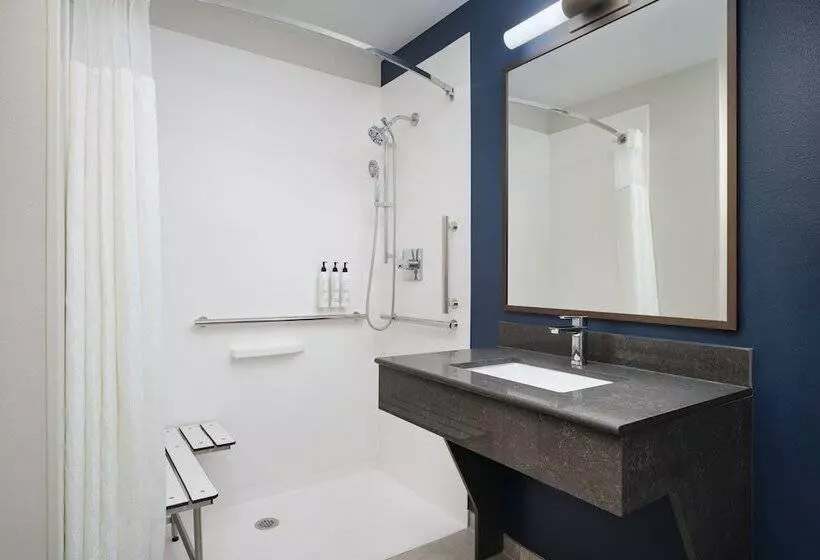 ホテル Fairfield Inn & Suites Auburn Opelika