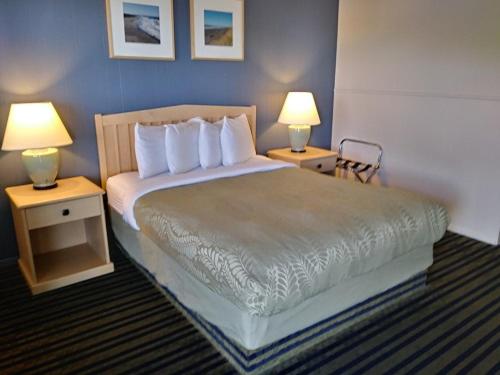 渡假胜地 Pacific Reef Hotel & Light Show