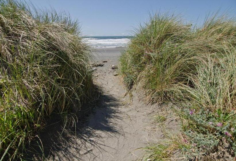 渡假胜地 Pacific Reef Hotel & Light Show