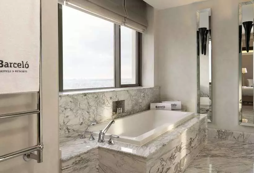 ホテル Barcelo Istanbul