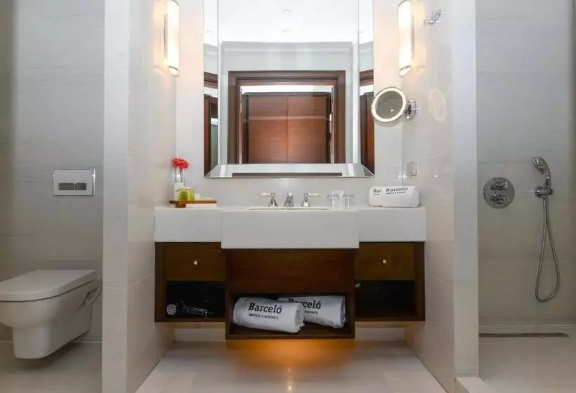 ホテル Barcelo Istanbul