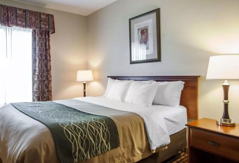 호텔 Comfort Inn & Suites Harrisonville
