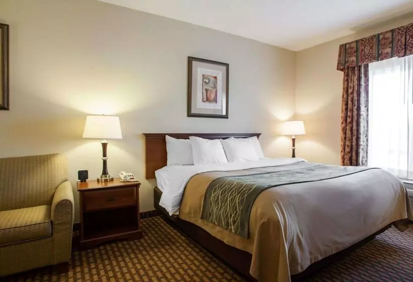 호텔 Comfort Inn & Suites Harrisonville