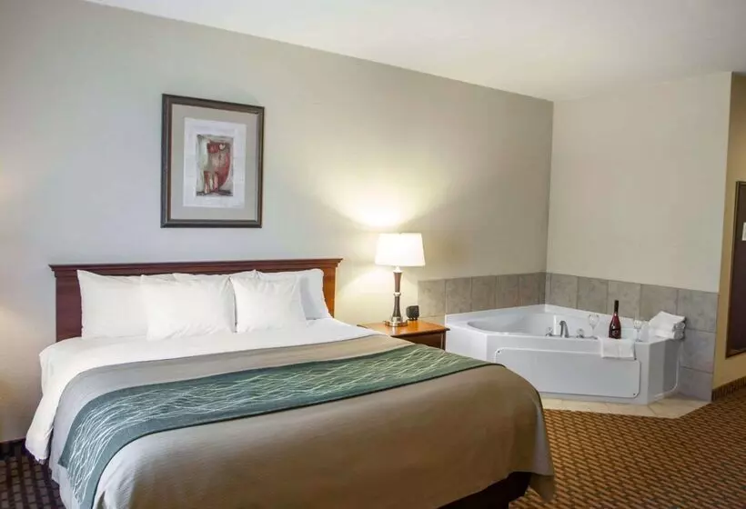 호텔 Comfort Inn & Suites Harrisonville