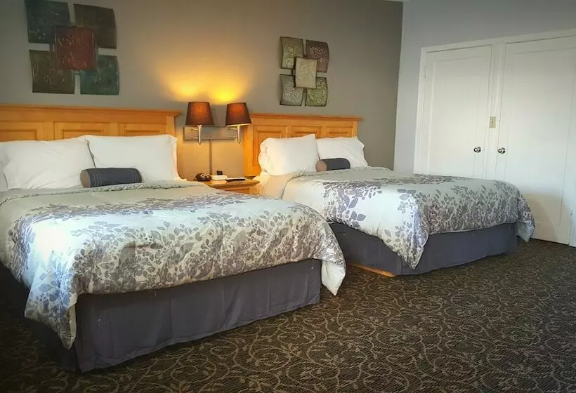 酒店 Garden View Inn