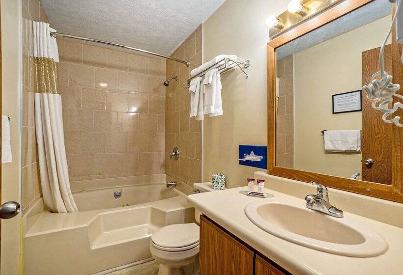 ホテル Great Lakes Inn And Suites