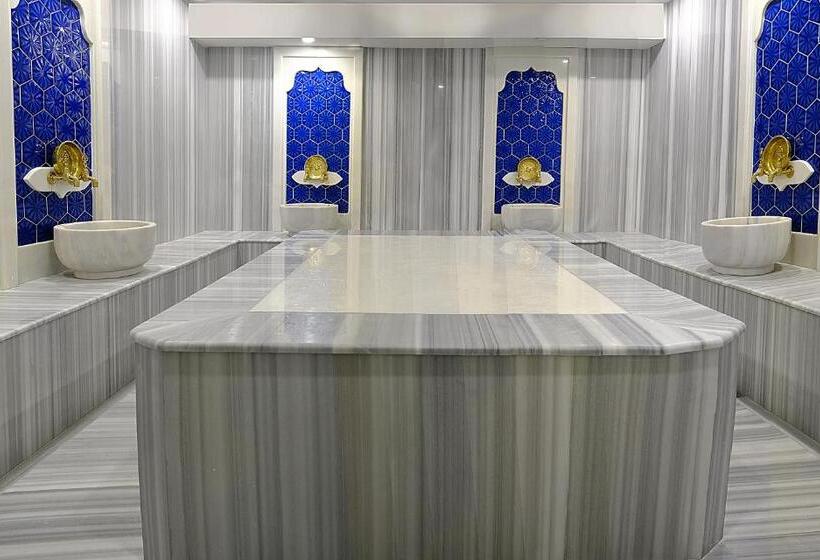 هتل Holiday Inn Ankara Kavaklidere, An Ihg