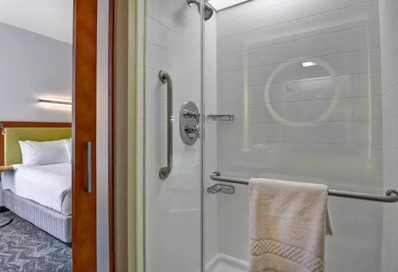 Springhill Suites By Marriott Cincinnati Midtown