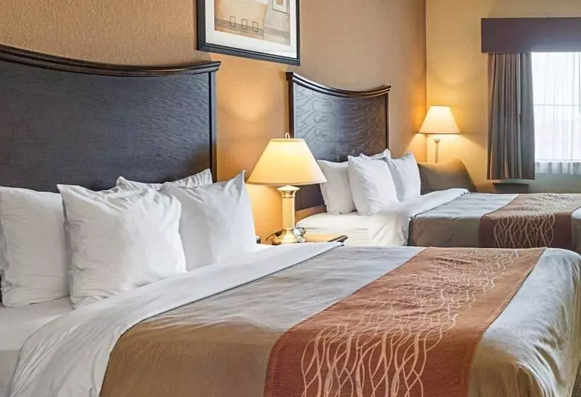 호텔 Comfort Inn I20 Midland Stanton