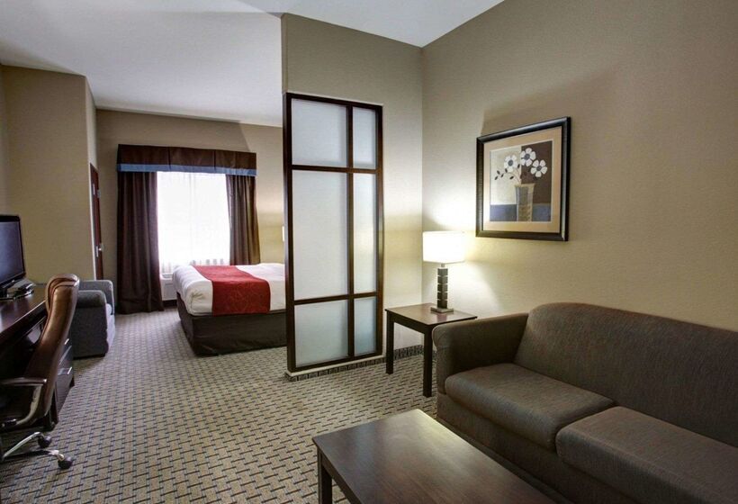 فندق Comfort Suites