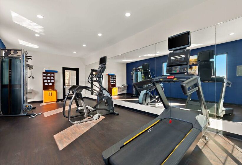 فندق Comfort Suites