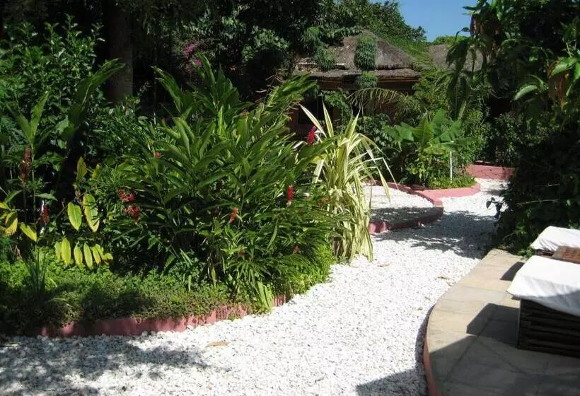 هتل Hibiscus House Gambia