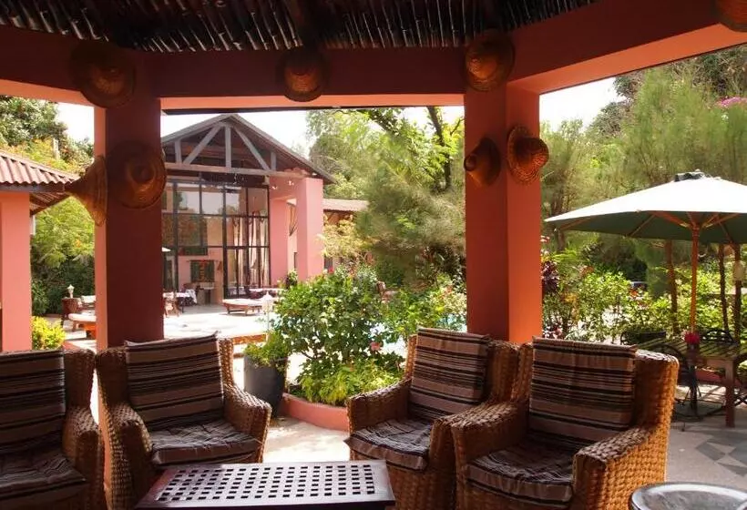 هتل Hibiscus House Gambia