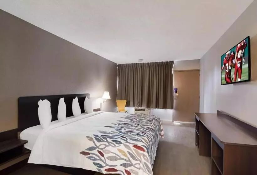 ホテル Red Roof Inn Vero Beach   I 95