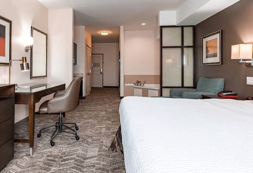 Отель Springhill Suites By Marriott Waco Woodway