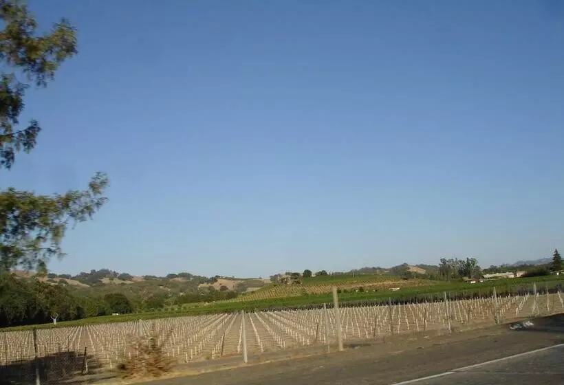 汽车旅馆 Lakeview Inn Lucerne