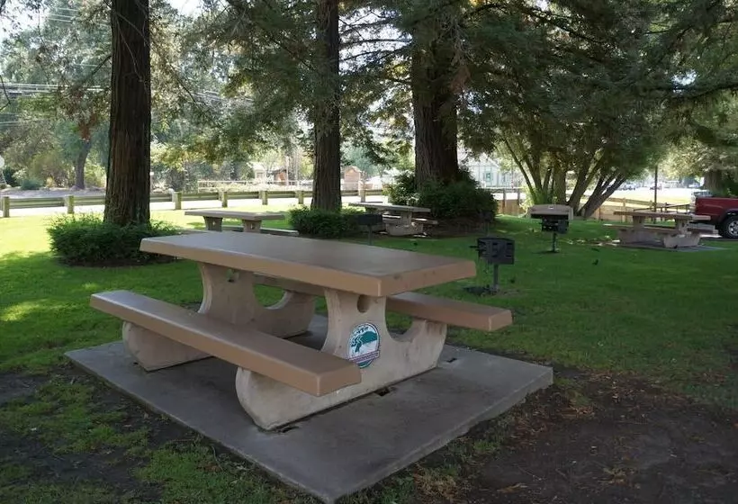 汽车旅馆 Lakeview Inn Lucerne