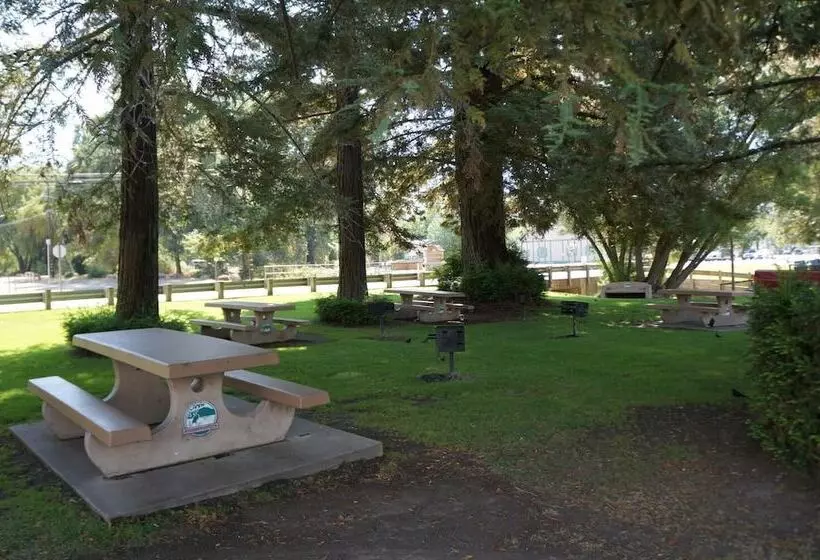 汽车旅馆 Lakeview Inn Lucerne