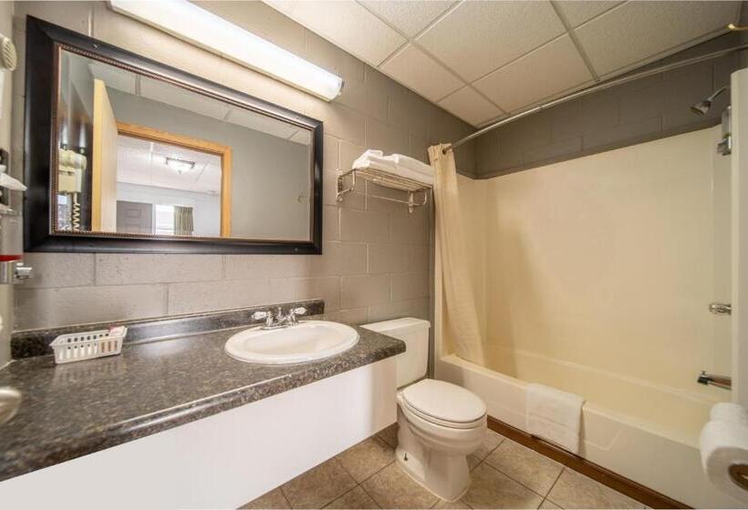 מוטל Sleep Ees Inn, Saginaw & Shields