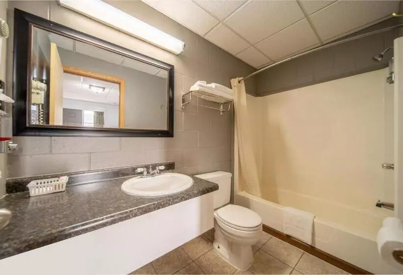 汽车旅馆  Sleep Ees Inn, Saginaw & Shields