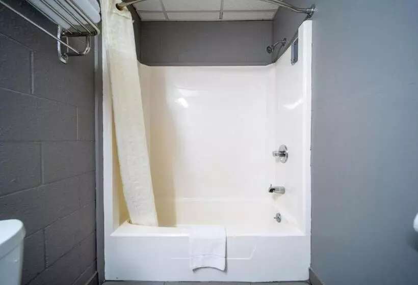 汽车旅馆  Sleep Ees Inn, Saginaw & Shields