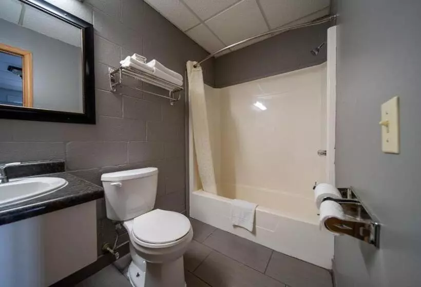 汽车旅馆  Sleep Ees Inn, Saginaw & Shields