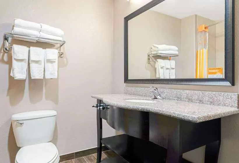 酒店 La Quinta By Wyndham Mcalester